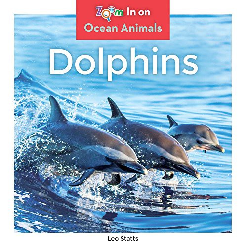 Cover for Dolphins