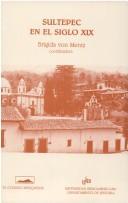 Cover for Sultepec en el siglo XIX