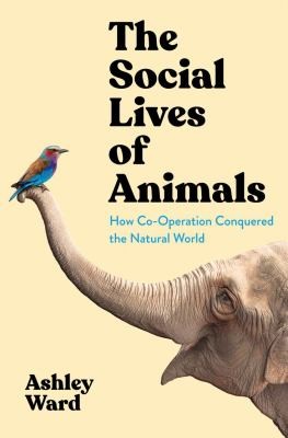 Cover for Social Lives of Animals