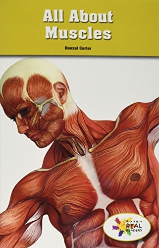 Cover for All About Muscles