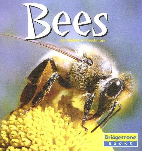 Cover for Bees (World of Insects)