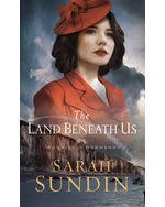 Cover for The land beneath us