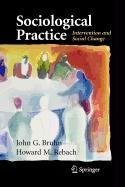 Cover for Sociological Practice
