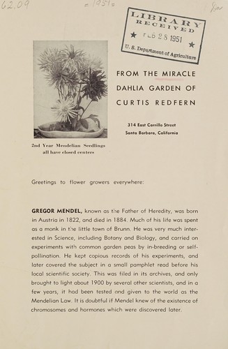 Cover for From the miracle dahlia garden of Curtis Redfern