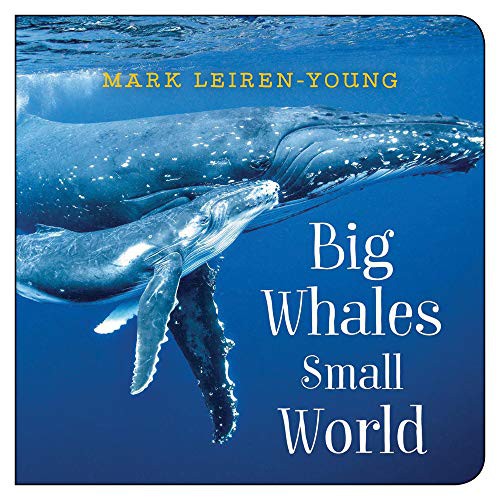Cover for Big Whales, Small World
