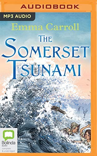 Cover for The Somerset Tsunami