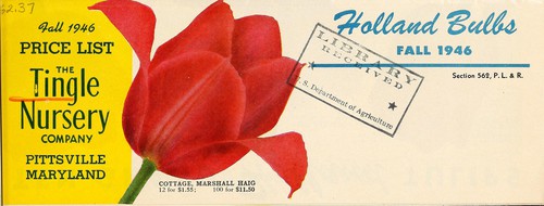 Cover for Fall 1946