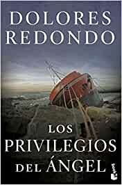 Cover for Los privilegios del ángel