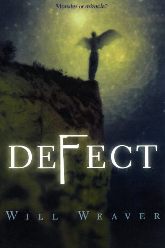 Cover for Defect