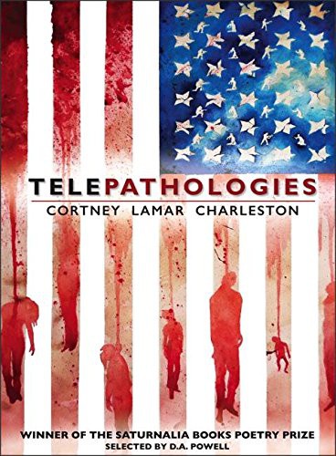 Cover for Telepathologies