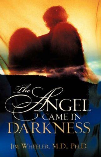 Cover for The Angel Came in Darkness