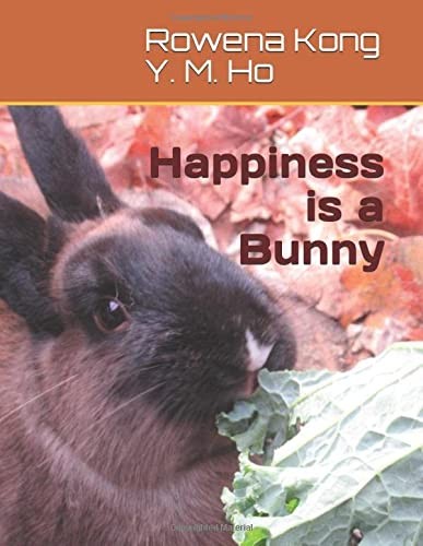 Cover for Happiness Is a Bunny