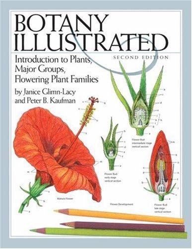 Cover for Botany Illustrated