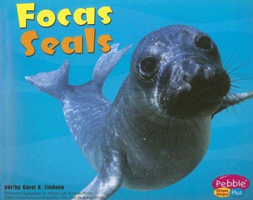 Cover for Focas/Seals (Bajo Las Olas/Under the Sea)