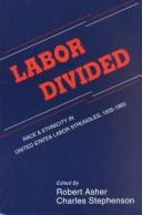 Cover for Labor Divided