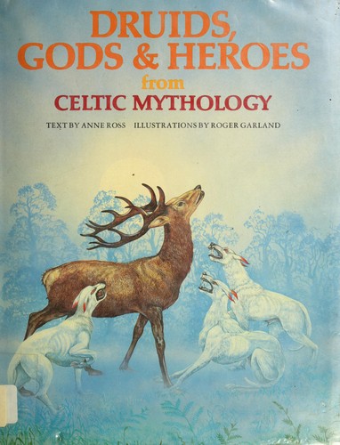 Cover for Druids, gods & heroes from Celtic mythology