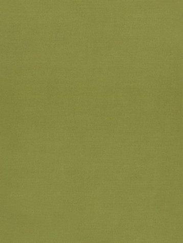 Cover for An Illustrated Catalogue of the Rothschild Collection of Fleas (Siphonaptera) in the British Museum (Natural History): Volume II: Coptopsyllidae, Vermipsyllidae, ... Slephanocircidae, Ischnopsyl)