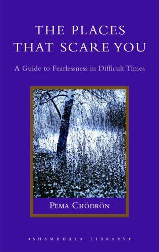 Cover for The Places That Scare You
