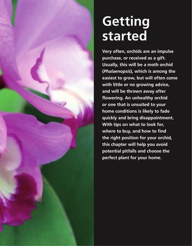 Cover for Simple Steps