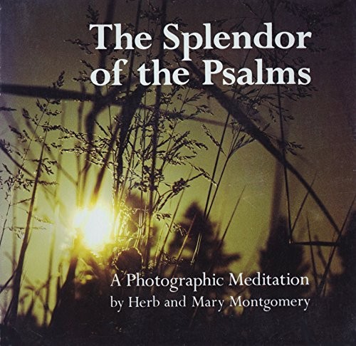 Cover for The Splendor of the Psalms