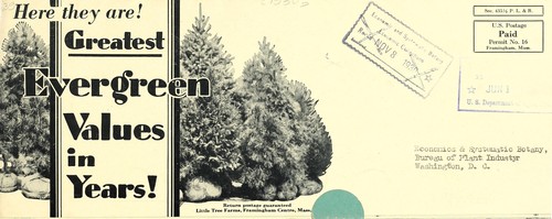 Cover for Greatest evergreen values in years!