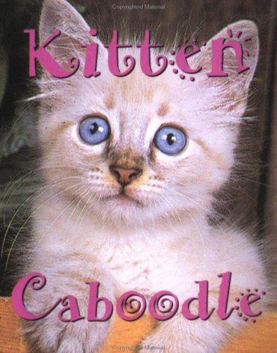 Cover for Kitten caboodle