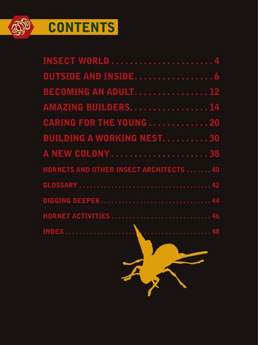 Cover for Hornets