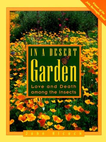 Cover for In a desert garden