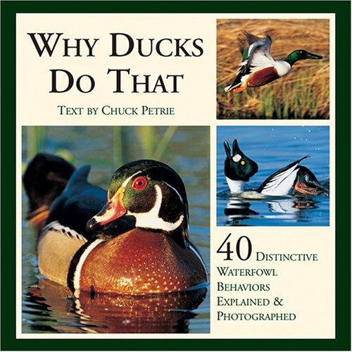 Cover for Why Ducks Do That