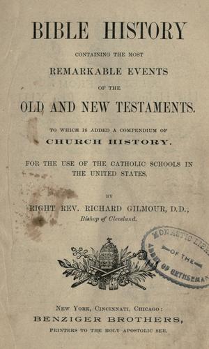 Cover for Bible history