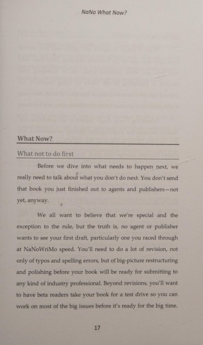 Cover for NaNo What Now?