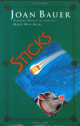 Cover for Sticks