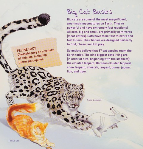 Cover for Big Cats