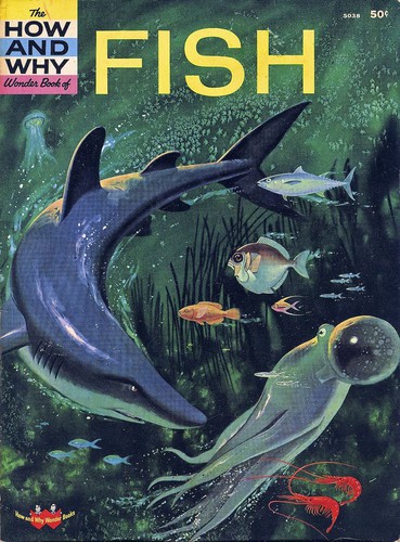 Cover for The how and why wonder book of fish