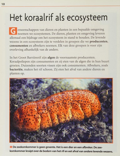 Cover for Het Groot Barrièrerif