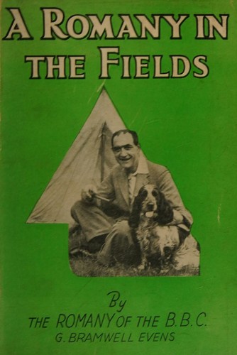 Cover for A Romany in the Fields