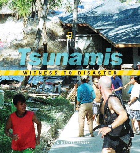 Cover for Witness to Disaster