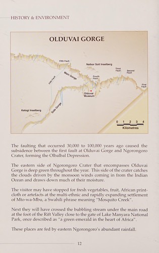 Cover for Olduvai and Laetoli