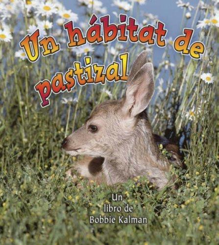 Cover for Un Habitat De Pastizal/ A Grassland Habitat (Introduccion a Los Habitats/ Introduction to Habitats)