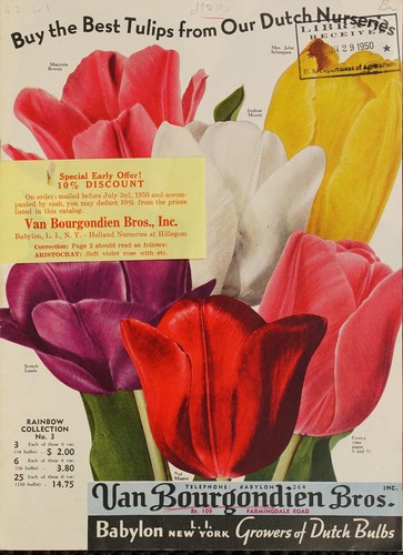 Cover for Buy the best tulips from our Dutch nurseries