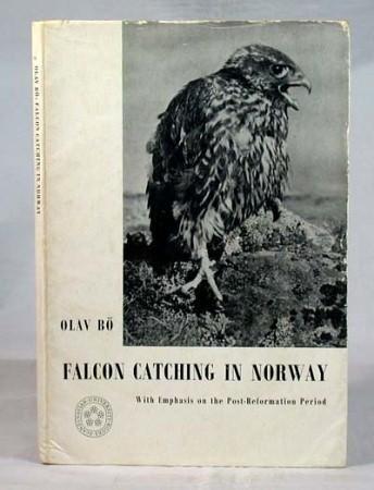 Cover for Falcon catching in Norway