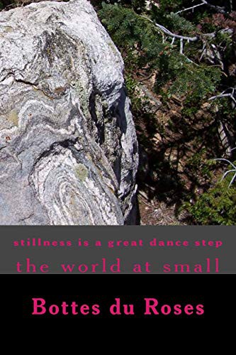 Cover for stillness is a great dance step
