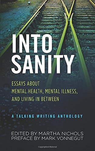 Cover for Into Sanity