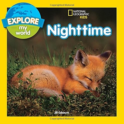 Cover for Nighttime