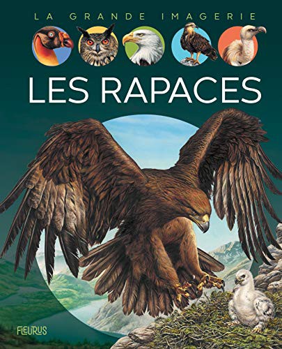 Cover for Les rapaces