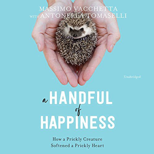 Cover for A Handful of Happiness
