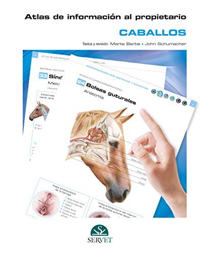 Cover for Atlas de información al propietario. Caballos