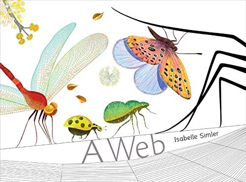 Cover for A Web