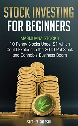 Cover for Stock Investing for Beginners