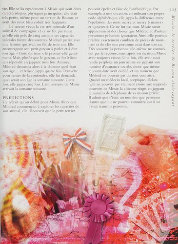 Cover for Animaux exceptionnels